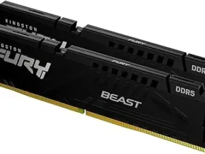 Avis sur la Mémoire Kingston FURY Beast DDR5